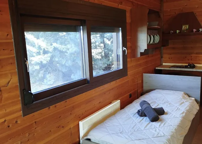 Dream Paradise 尼亚米卡尼奥纳