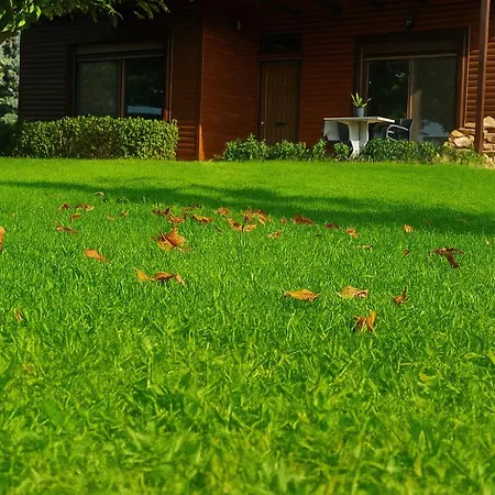 Dream Paradise Vakantiehuis *