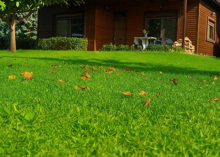 Dream Paradise Holiday home *